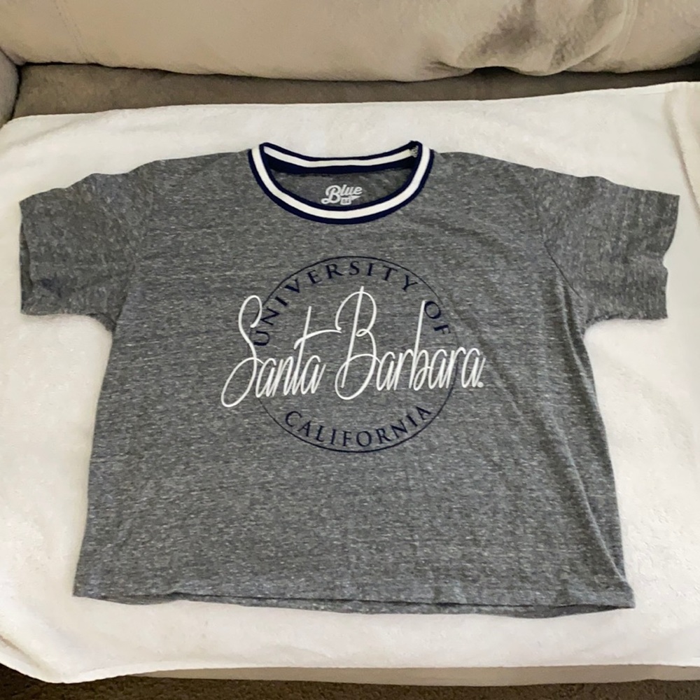Gray Santa Barbara University crop top
